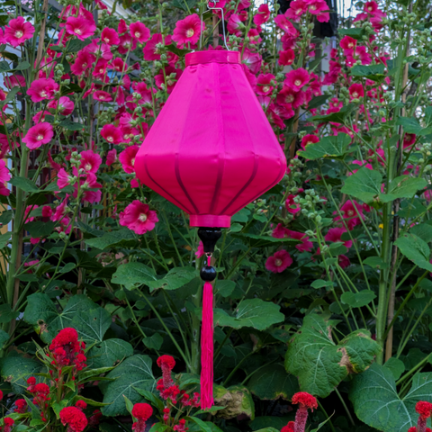Hot pink plain colour Vietnamese Lantern hanging in front of matching hot pink flowers in Hoi An.