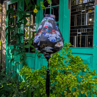 Dreamy East Asian Lantern on Black