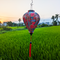 Balloon shaped Vietnamese lantern with red tassel in a rice field at sunset with red, blue, orange, green and yellow paisley print.
