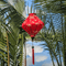 Lozenge shaped Vietnamese Hoi an Lantern on the Thu Bon River with reflections of clouds in the river with palm trees.