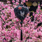 A stunning black Hoi An silk lantern featuring elegant white herons in flight, delicate pink roses, and intricate floral details. The lantern is set against a backdrop of vibrant pink cherry blossoms, creating a striking contrast. The black tassel hanging below adds to its traditional charm. This lantern embodies grace, longevity, and timeless beauty, making it a perfect decorative piece for homes, festivals, or gifts.