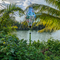 Tube shaped Vietnamese lantern hanging outside in Hoi An near a river with greenery and palm leaves.