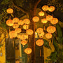 Vietnamese plain orange silk lanterns hanging in a tree creating a gorgeous yellow glow in Hoi An Old Town.