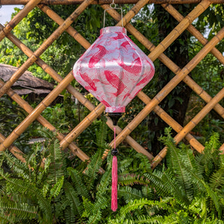Pink Koi Fish & Swirls Lantern