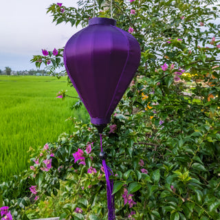 Dark purple lantern in a rice field surrounded by bougainvillea flowers.
