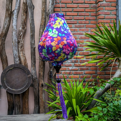 Rainbow Leaves on Purple Lantern