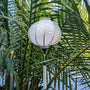 Hanging white Jacquard silk Vietnamese lantern with tassel against a green leafy background