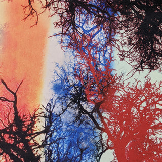 Polyester silk fabric with silhouettes of winter-bare branches in vibrant hues of orange, red, and blue. Used to create Vietnamese silk lanterns.