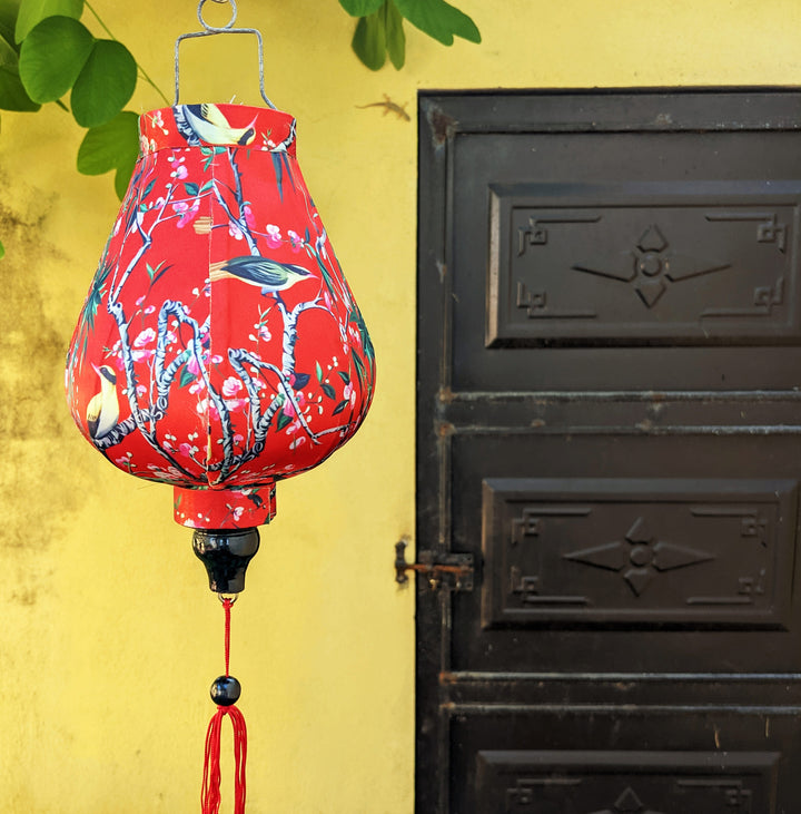 Lantern with Blacknaped Oriole birds perched in a tree with pink flowers .
